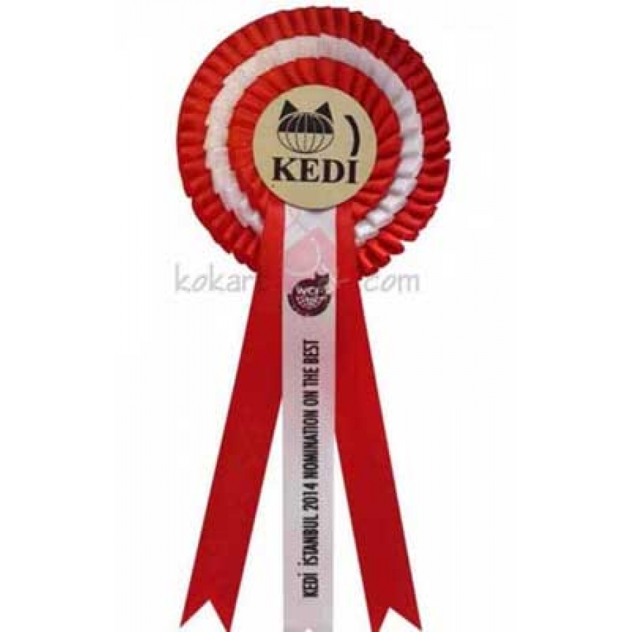 Nomination-on-the-Best-Yarisma-Kokarti-resim-2150.jpg